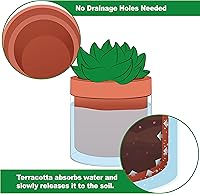 Vista 3 de Phoenix Vine Maceta de riego automático de 4 pulgadas, maceta de arcilla de terracota con depósito de vidrio para plantas de interior, hierbas