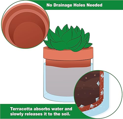 Vista 3 de Phoenix Vine Maceta de riego automático de 4 pulgadas, maceta de arcilla de terracota con depósito de vidrio para plantas de interior, hierbas