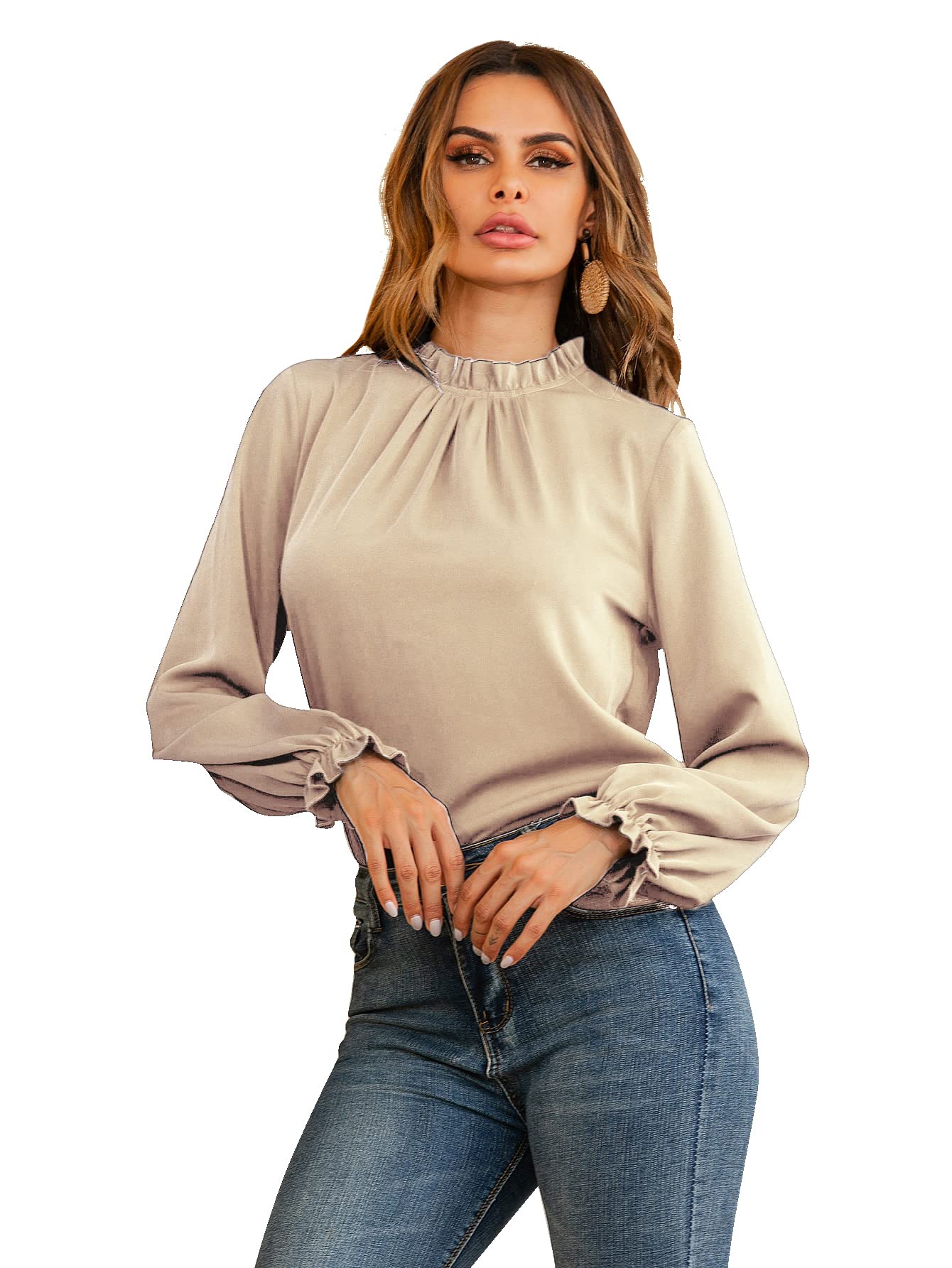 LYANER Women's Frill Mock Neck Flounce Long Sleeve Solid Blouse Office Shirt Top