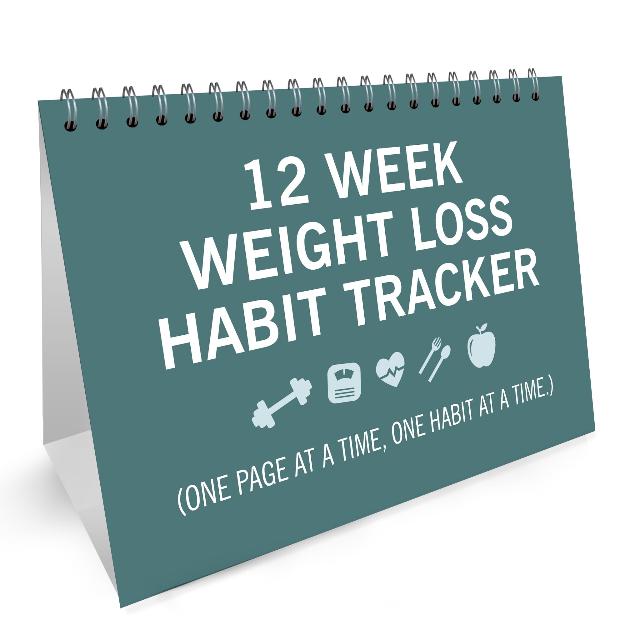 RED OCEAN 12 Week Weight Loss Habit Tracker And Body Measurement Tracker Weight Loss Tracker Gift For Him Her Weight Loss Progress Tracker (Blue)