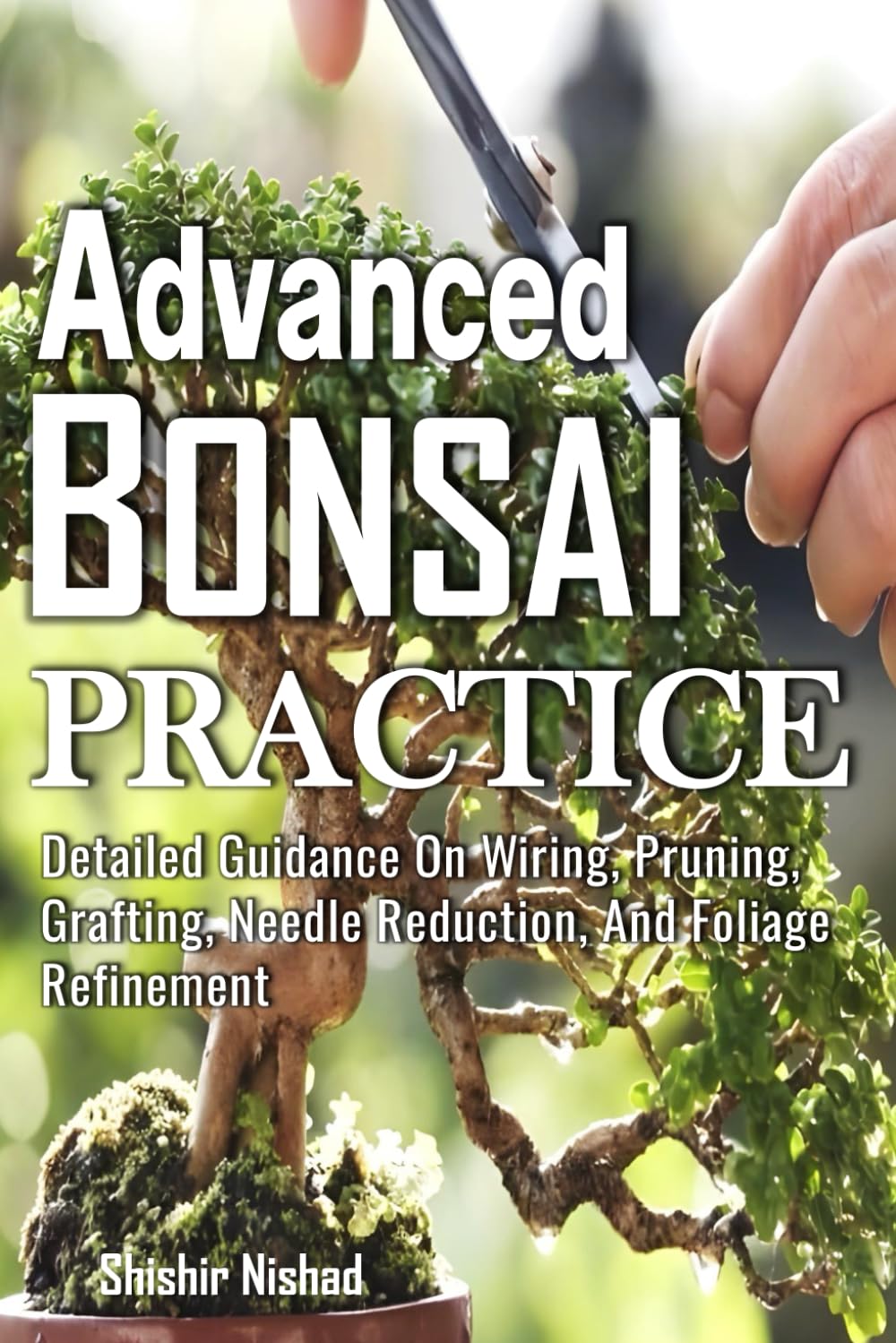 Advanced Bonsai Practice: Mastering Bonsai Techniques, Species-Specific Styling, Mindful Bonsai Care Indoors, and Japanese Garden Traditions for Lifelong Indoor Plant Tree Artistry