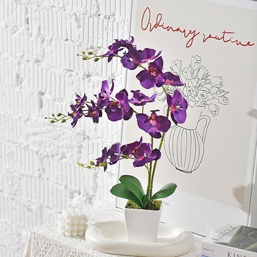 Miniatura 5 de YSZL Orquídea sintética en jarrón, orquídea artificial en jarrón de cerámica, orquídeas altas de seda con tallos de aspecto real Phalaenopsis