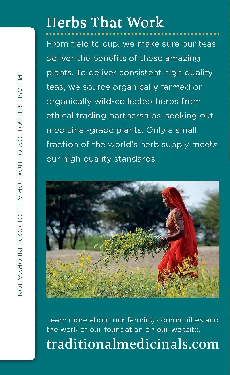 Traditional Medicinals Organic Peppermint Delight Probiotic Tea Supports Healthy Digestion (16 Count (Pack of 6))