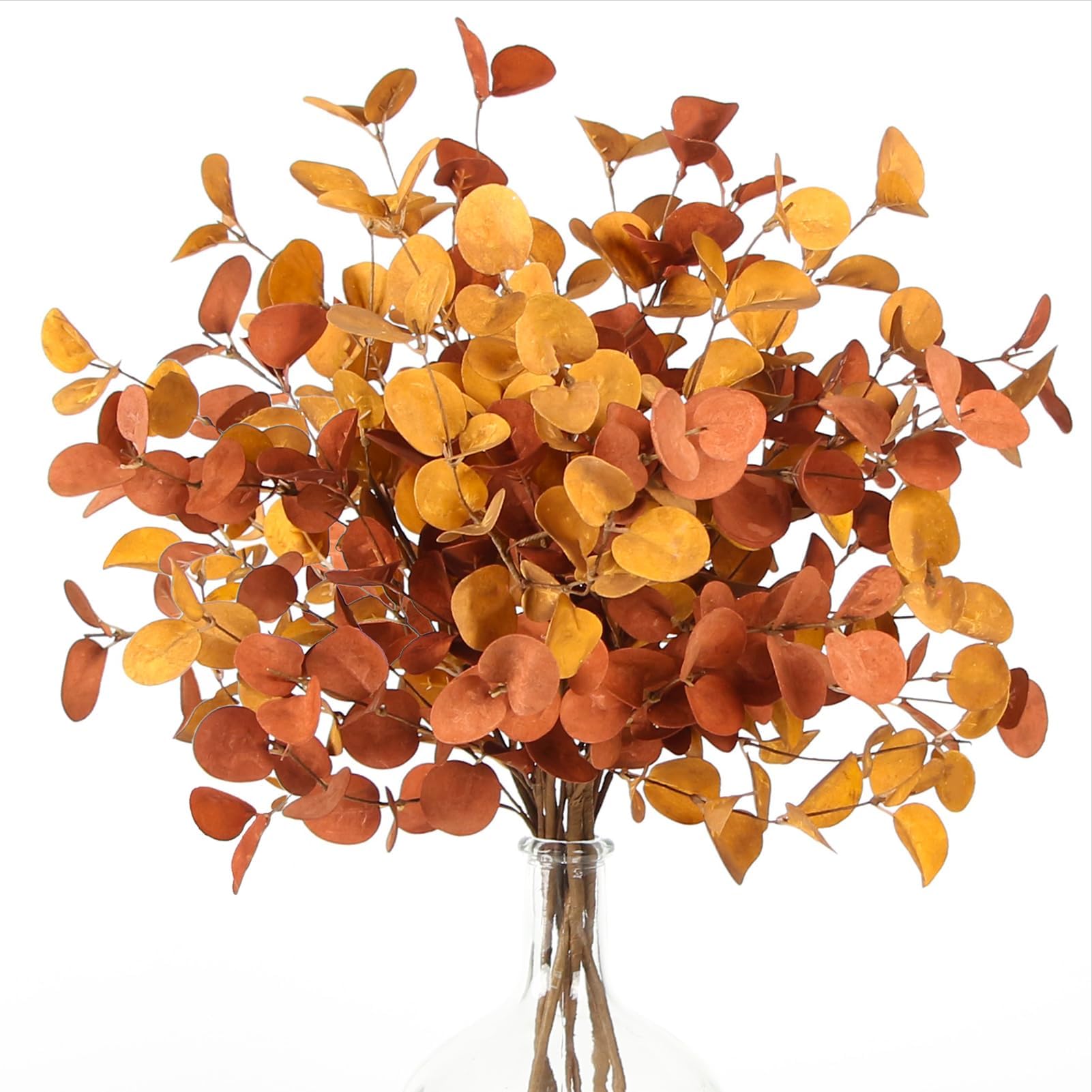 ZIFTY Eucalyptus Stems