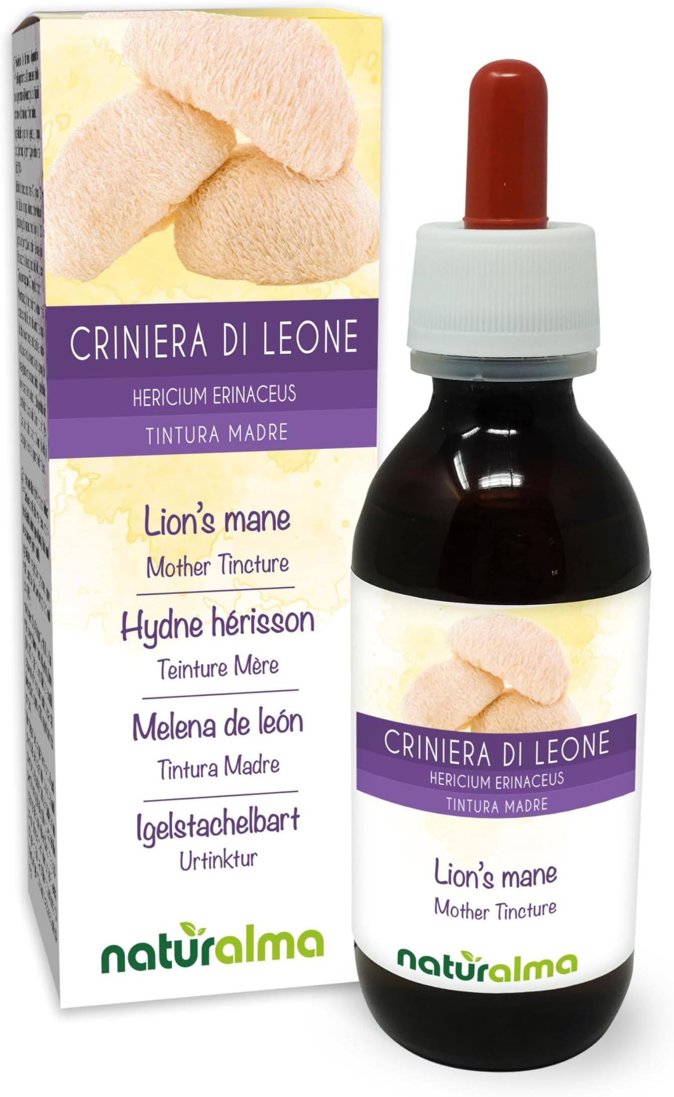 Lion's Mane or Monkey Head (Hericium erinaceus) Fungus or Mushroom Alcohol-Free Mother Tincture Naturalma - Liquid Extract Drops 120 ml - Food Supplement - Vegan