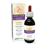 Hydne hérisson ou Crinière de lion (Hericium erinaceus) champignon Teinture Mère sans alcool Naturalma - Extrait liquide gouttes 120 ml - Complément alimentaire - Végétalien ou végan Sans alcool 120 ml (Lot de 1)