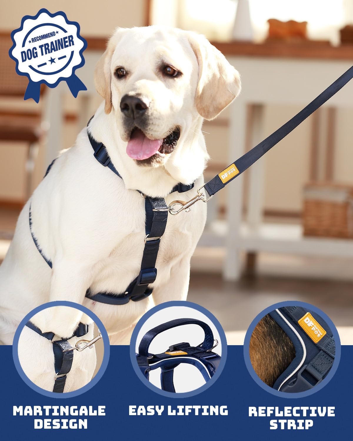 DF Freedom No Pull Martingala Pettorina per cani, controllo delicato per nessun soffocamento, imbracatura frontale con clip riflettente, regolabile e maniglia imbottita per una facile camminata e