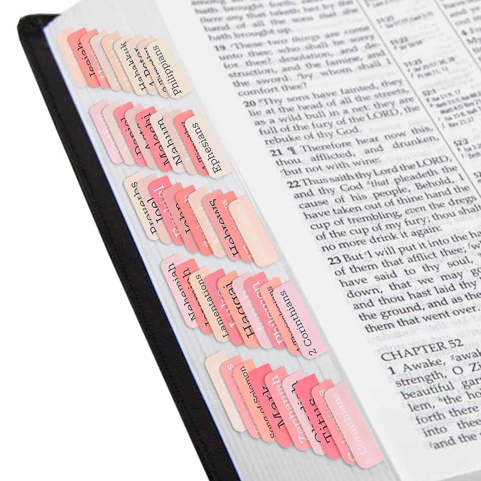 Onglets De Bible Laminés Pour Homme Et Femme, Onglets De La Bible Faciles à Lire Pour étudier La Bible, Onglets D'index Pour L'ancien Et Le Nouveau Testament, étiquettes De La Bible Pour