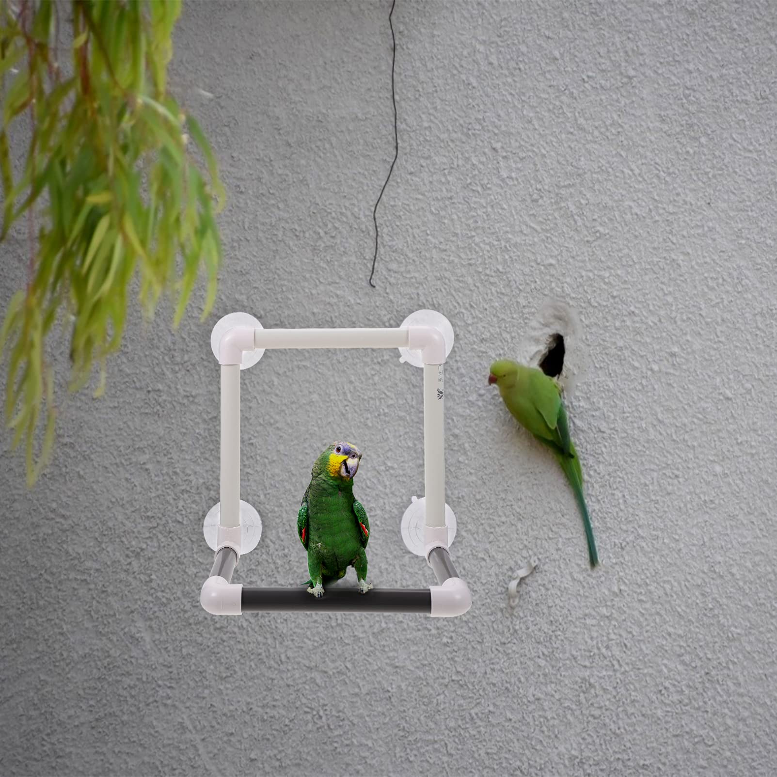 Abaodam 1Pc Bird Shower Perch Stand with Suction Cups for Parrots Easy Install Shower for Indoor Outdoor Use for Finches Canaries and Similar Sized Birds