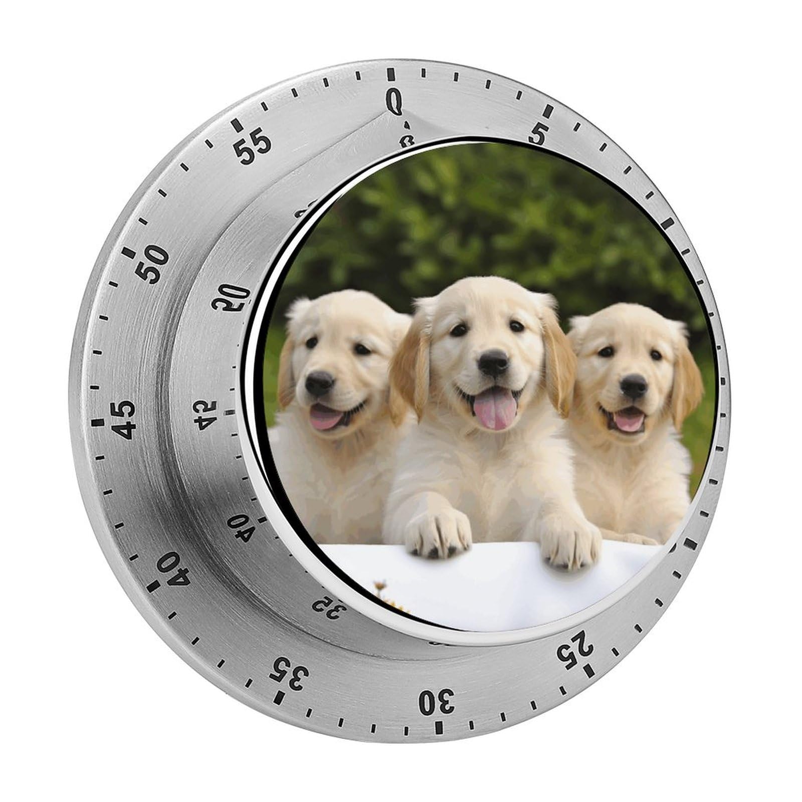 Golden Retriever Puppies Printed Waterproof Christmas Timer with Loud Alarm Outdoor Timer for Cooking Exercise Baking