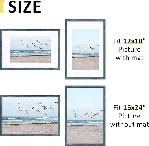 Vista 290 de Frametory, Los marcos de 16 x 20 pulgadas muestran imágenes de 11 x 14 pulgadas con paspartú o fotos de 16 x 20 pulgadas sin paspartú, vidrio Plata