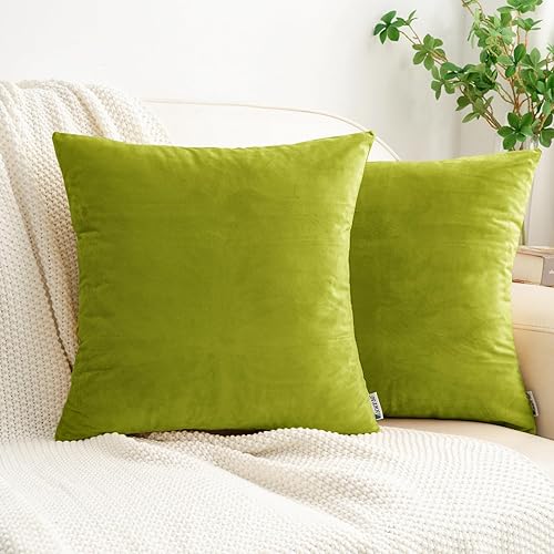 HWY 50 Juego de 2 fundas de cojín decorativas de color verde hoja de 16 x 16 pulgadas para sofá, sala de estar, cama, fundas de cojín decorativas,