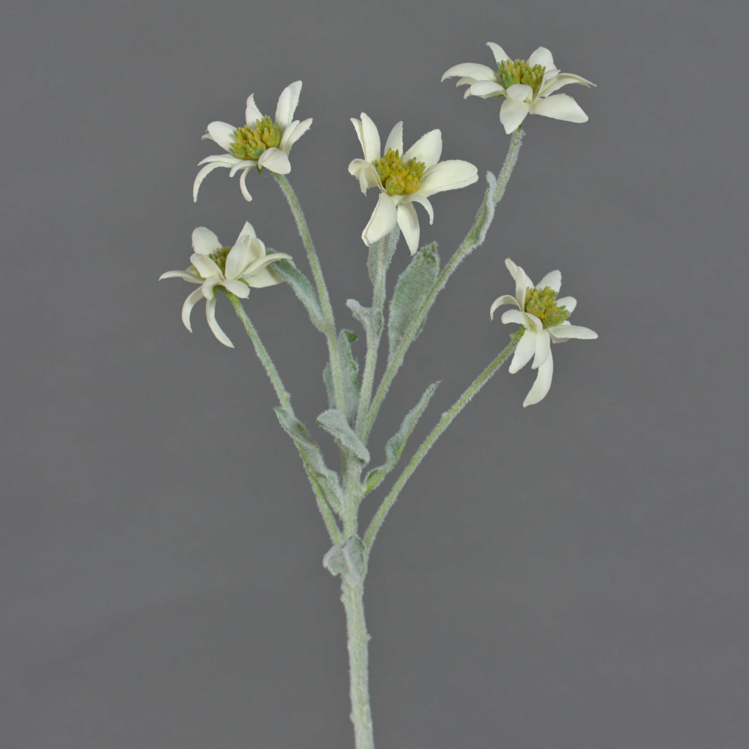 Amazon.de: artplants.de Knstliches Alpen Edelwei Sophia, 5 Blten, wei,  40cm - Kunstblume - Deko Blume