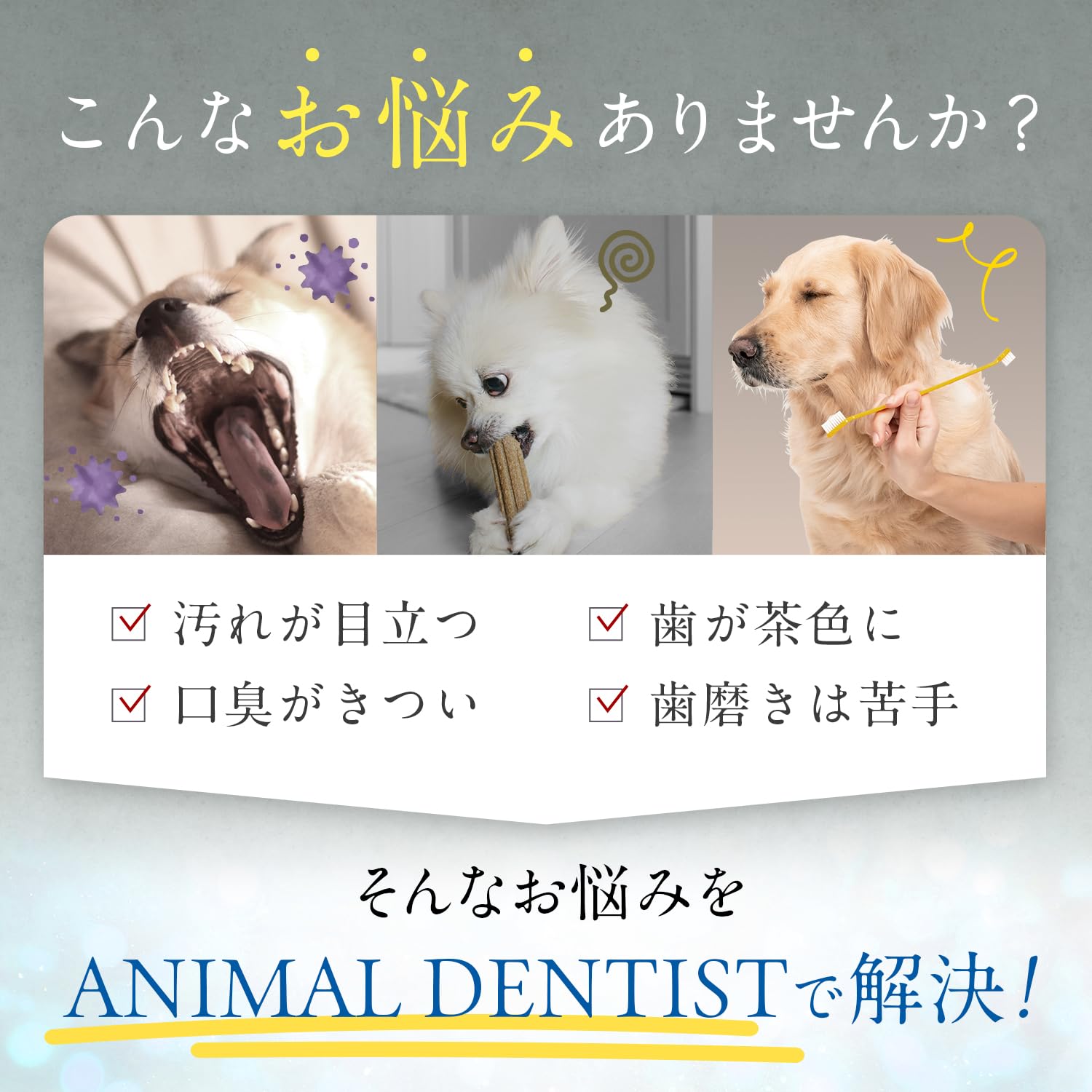Amazon | 【舐めるだけの簡単歯磨き】 アニマルデンティスト 犬 猫