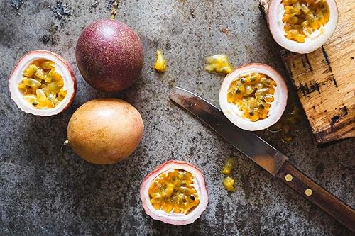 Miniatura 2 de Gaea's Blessing Semillas – Semillas de maracuyá – Semillas tradicionales sin OMG con instrucciones fáciles de seguir – Passiflora edulis 90% tasa de