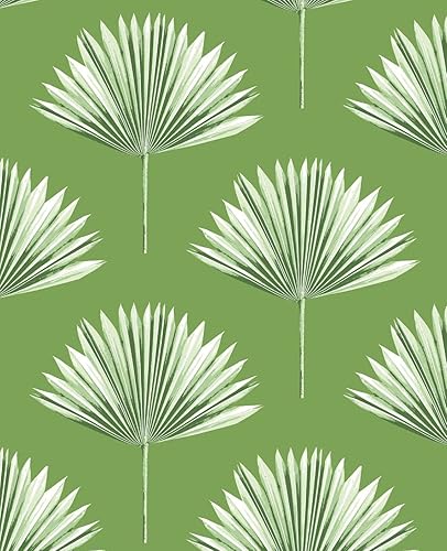 NextWall Papel tapiz de palma tropical con forma de abanico brote verde NextWall Papel tapiz de palma tropical con forma de abanico brote verde