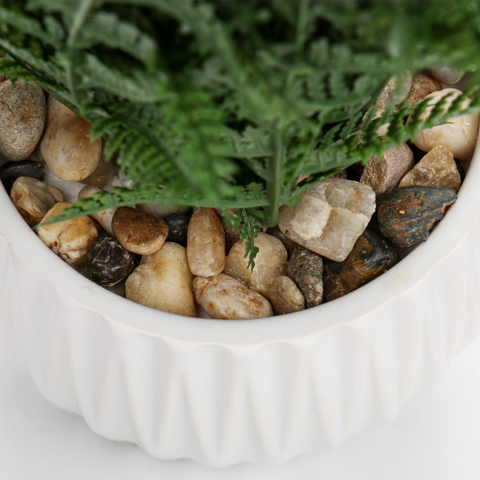 Piante finte da interno in vaso di ceramica, 32 cm, felce di Boston, pianta decorativa in vaso, pianta artificiale per casa, ufficio, bagno, camera da letto, scrivania, decorazione della stanza
