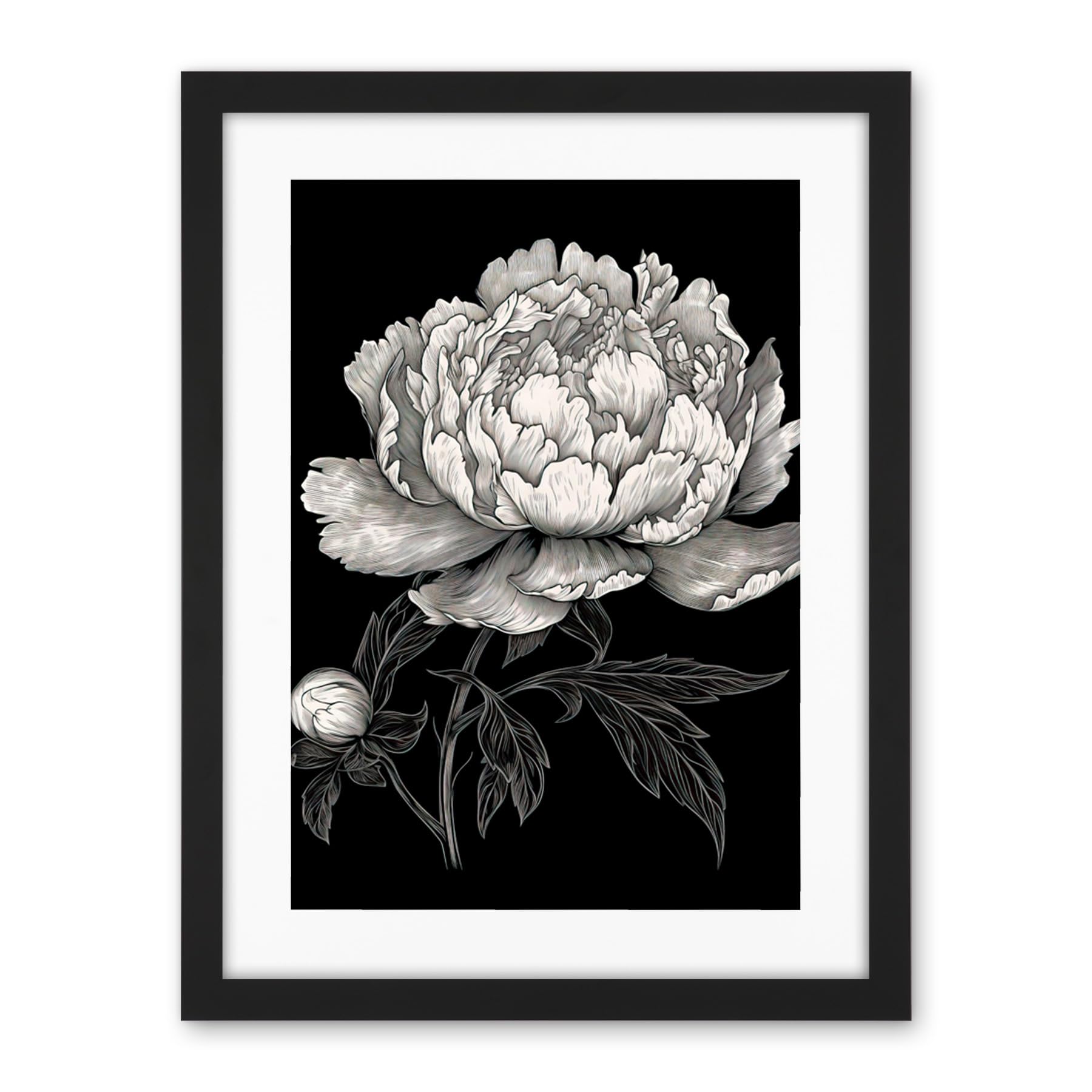 Artery8 A Peony Flower Bloom Black and White Blind Contour Artwork Framed Wall Art Print 18X24 Inch