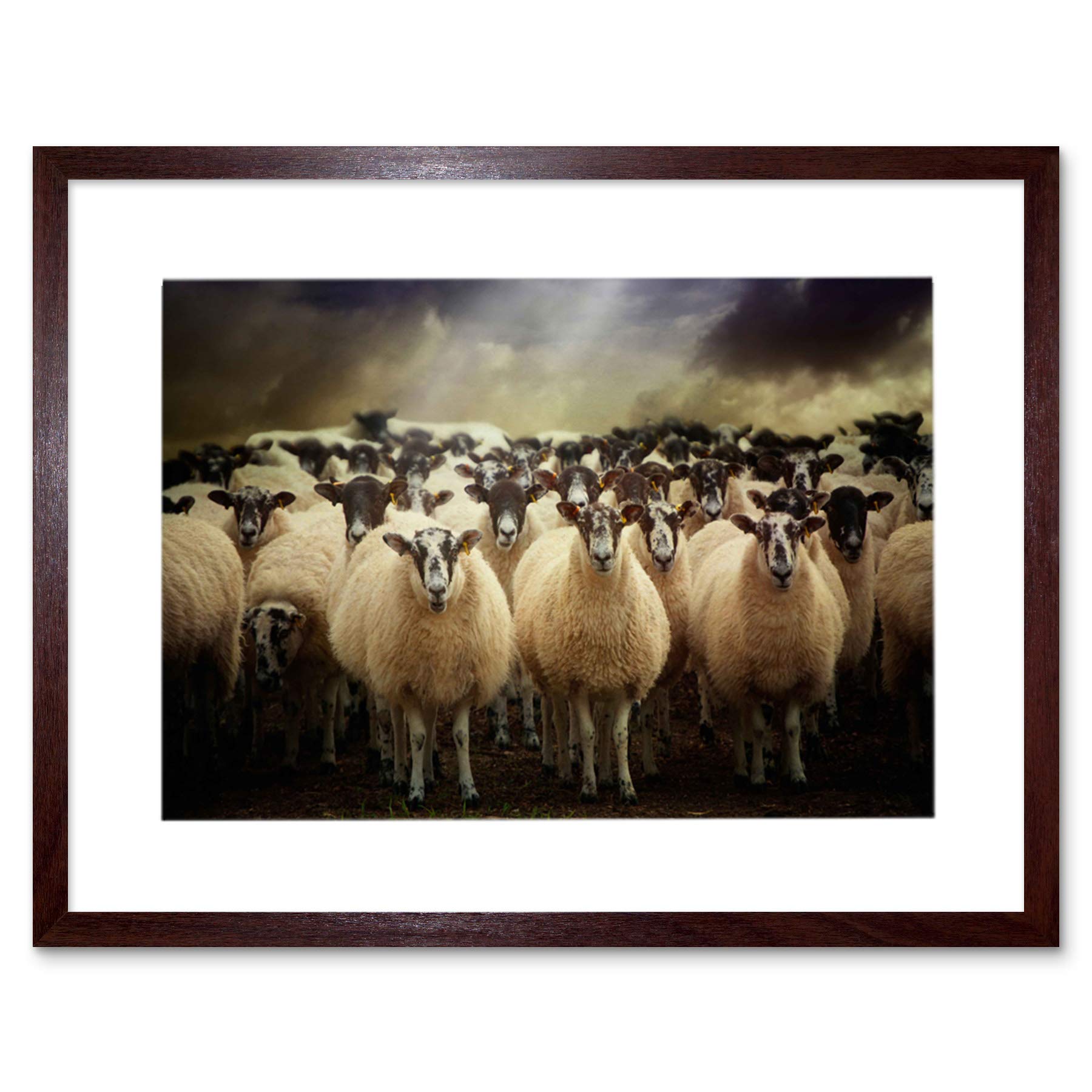 Wee Blue Coo Sheep Flock Farm Animal Photo Wood Frame Picture Gift Framed Wall Art Print