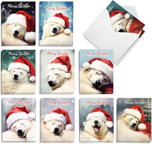 The Best Card Company Juego de 20 tarjetas navideñas surtidas en caja a granel de 4 x 5.12 pulgadas con sobres (10 diseños, 2 de cada uno) Bear