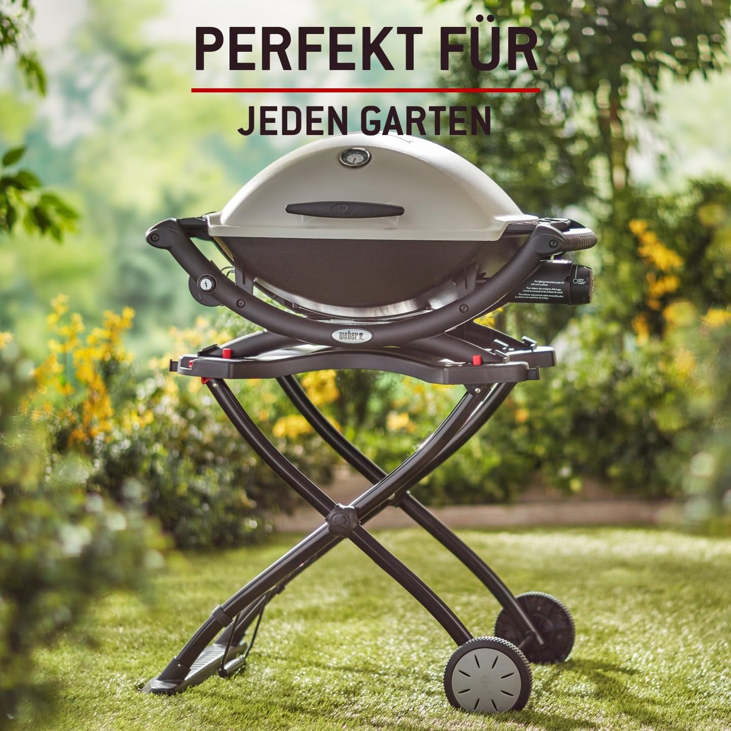 Weber Rollwagen