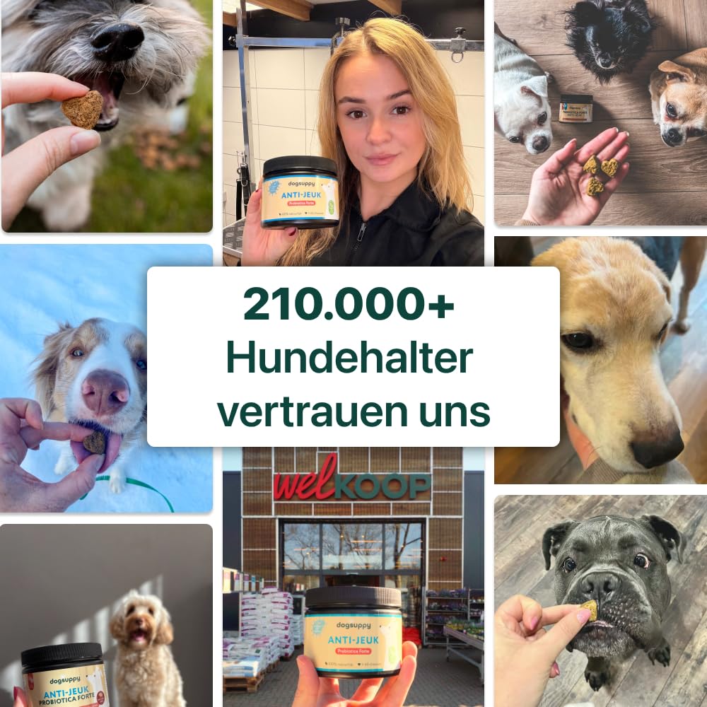 DogSuppy Juckreiz Linderung, Probiotika für Hunde, gegen Juckreiz und zur Stärkung des Immunsystems, Unterstützt die Verdauung & Darmflora, 3 Milliarden Probiotika pro Snack, 60 leckere Snacks