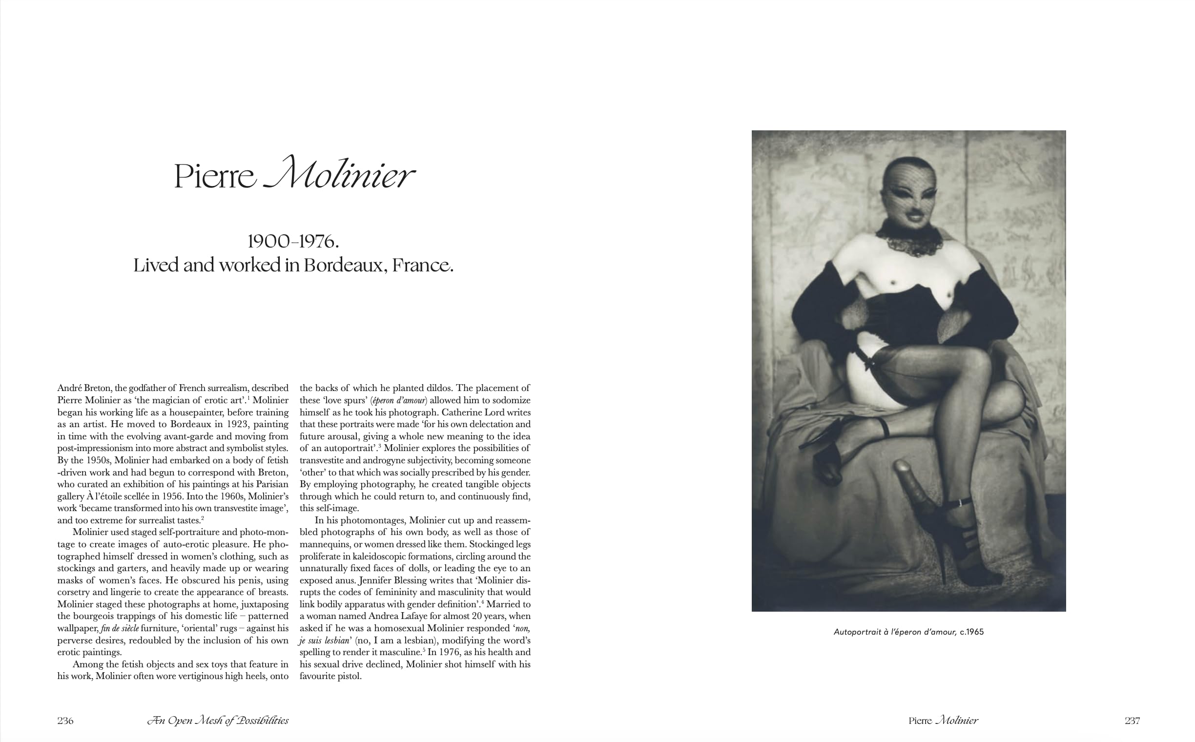 Photography A Queer History (new edition) /anglais: How LGBTQ+ photographers shaped the art
