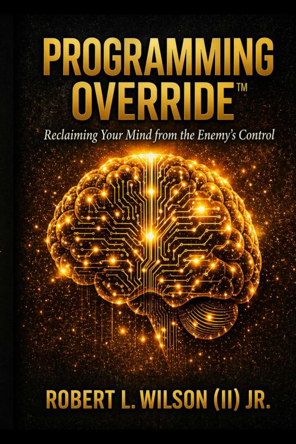 Programming Override: Reclaiming Your Mind from the Enemy's Control (ABCD Mastery System Series)