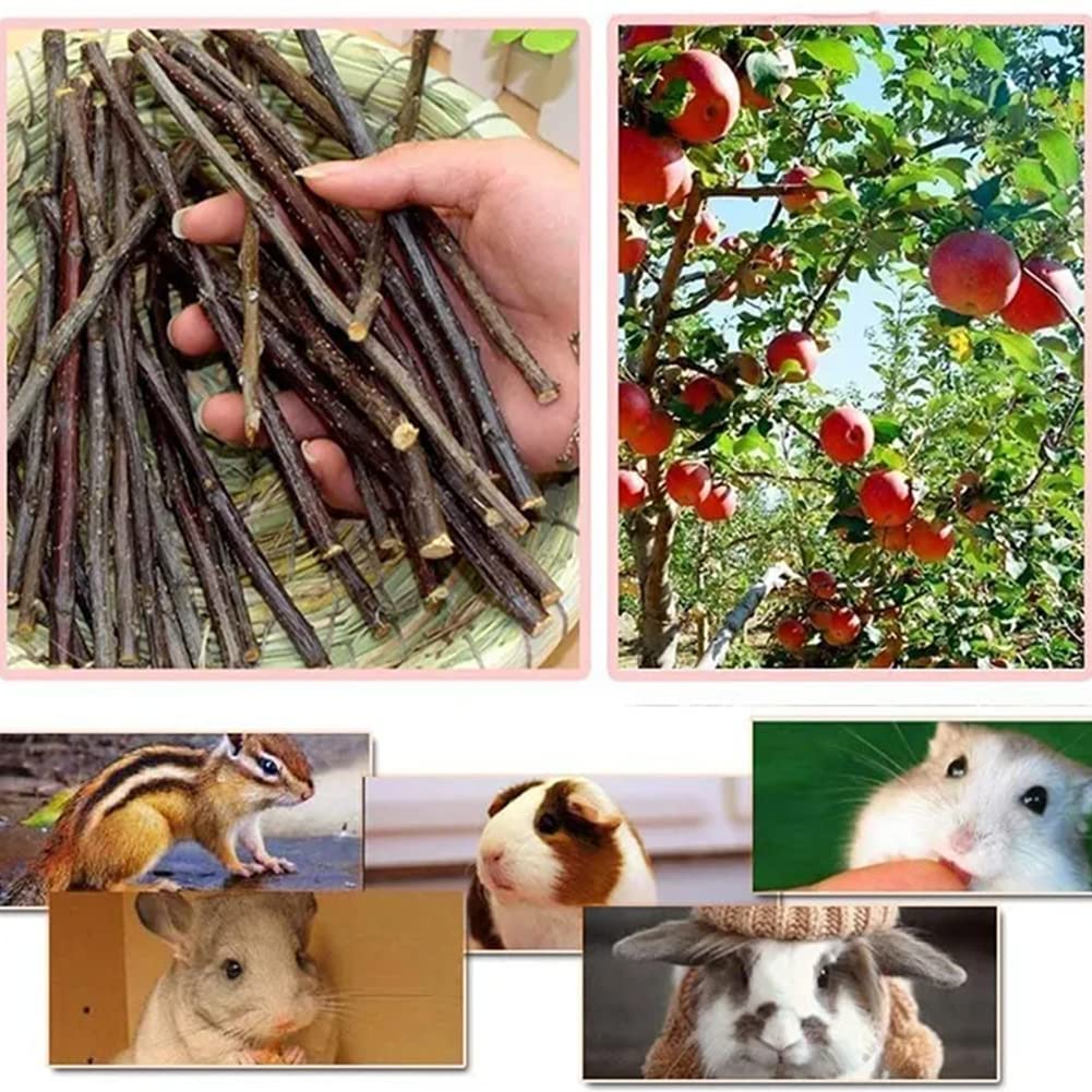 Bâtonnets de Pomme pour Animaux de Compagnie, Bâton à Mâcher De Pomme,Branche De Pomme Molaire,Petit Jouet pour Animaux De Compagnie,pour Chinchilla Cobaye Hamster Lapin