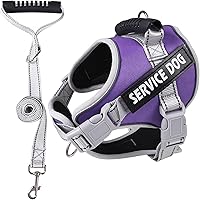 Vista 1 de Dog Harness for Small Puppy Dogs and Cats No Pull Reflective Adjustable Soft Mesh Dog Harness and Leash Set Step in Easy Control Pet Dog Vest