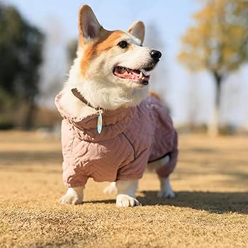 大型犬用 防水フード付きジャケット ベージュ 大型犬用 防水フード付きジャケット ベージュ