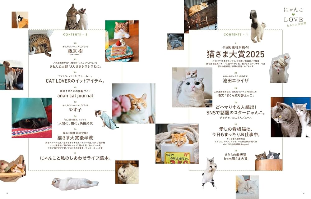 Amazon.co.jp: anan特別編集 にゃんこLOVE もふもふ大渋滞 Amazon.co.jp: anan特別編集 にゃんこLOVE もふもふ大渋滞