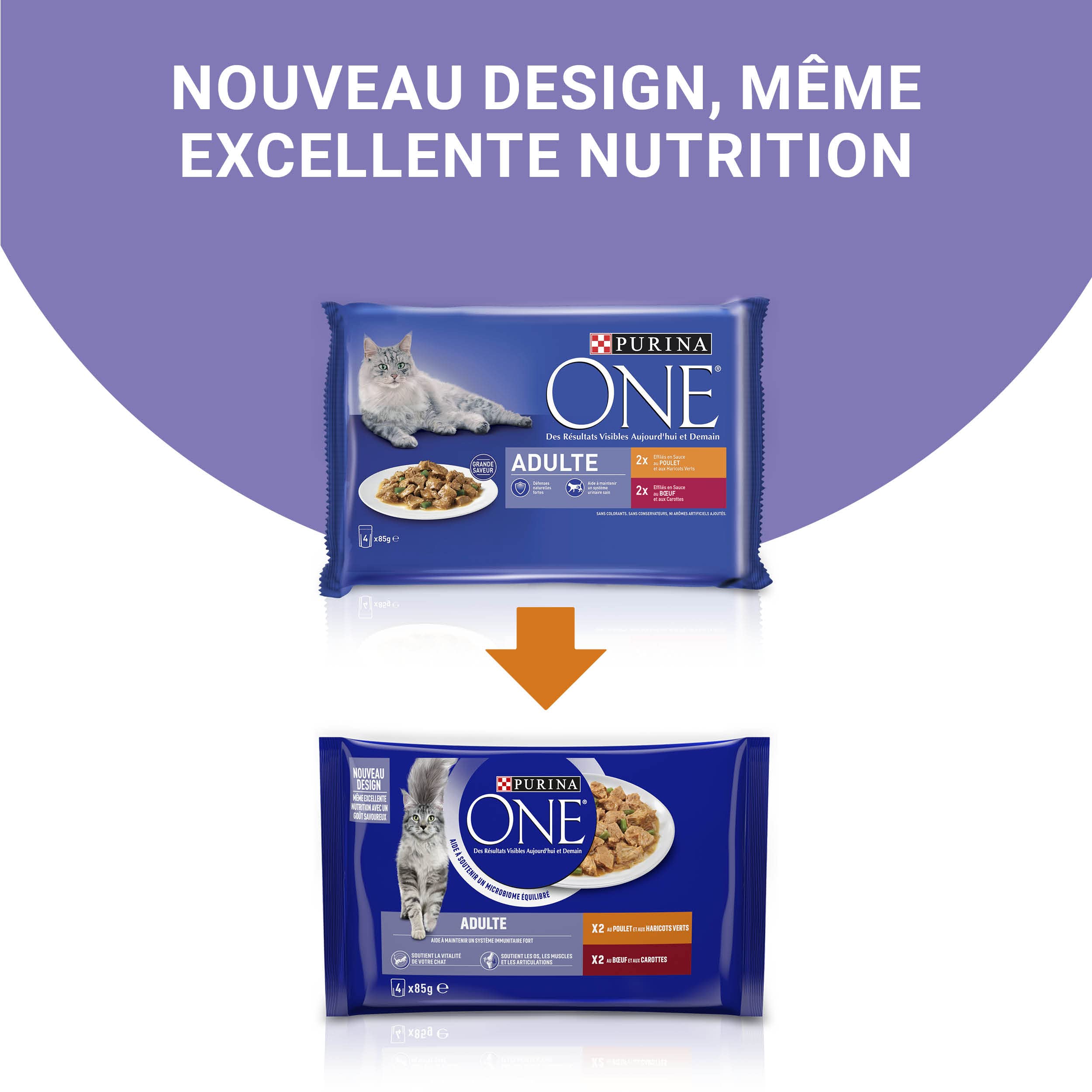 PURINA ONE | BIFENSIS | Chat Adulte | Soutien la vitalité du Chat, Les os, Les Muscles et Les articulations | Effilés en Sauce | Poulet, Boeuf | Sachets Fraîcheur | Lot de 12 (4 x 85g)