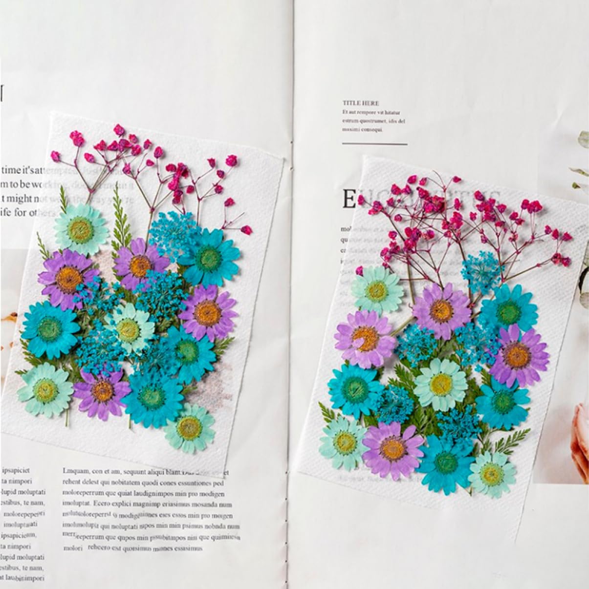 VILLCASE 200pièces Fleurs Séchées Naturelles pour Artisanat Matériaux Décoratifs pour Projets Créatifs Échantillons De Plantes Pressées Accessoires Manuels Décoration Unique Et