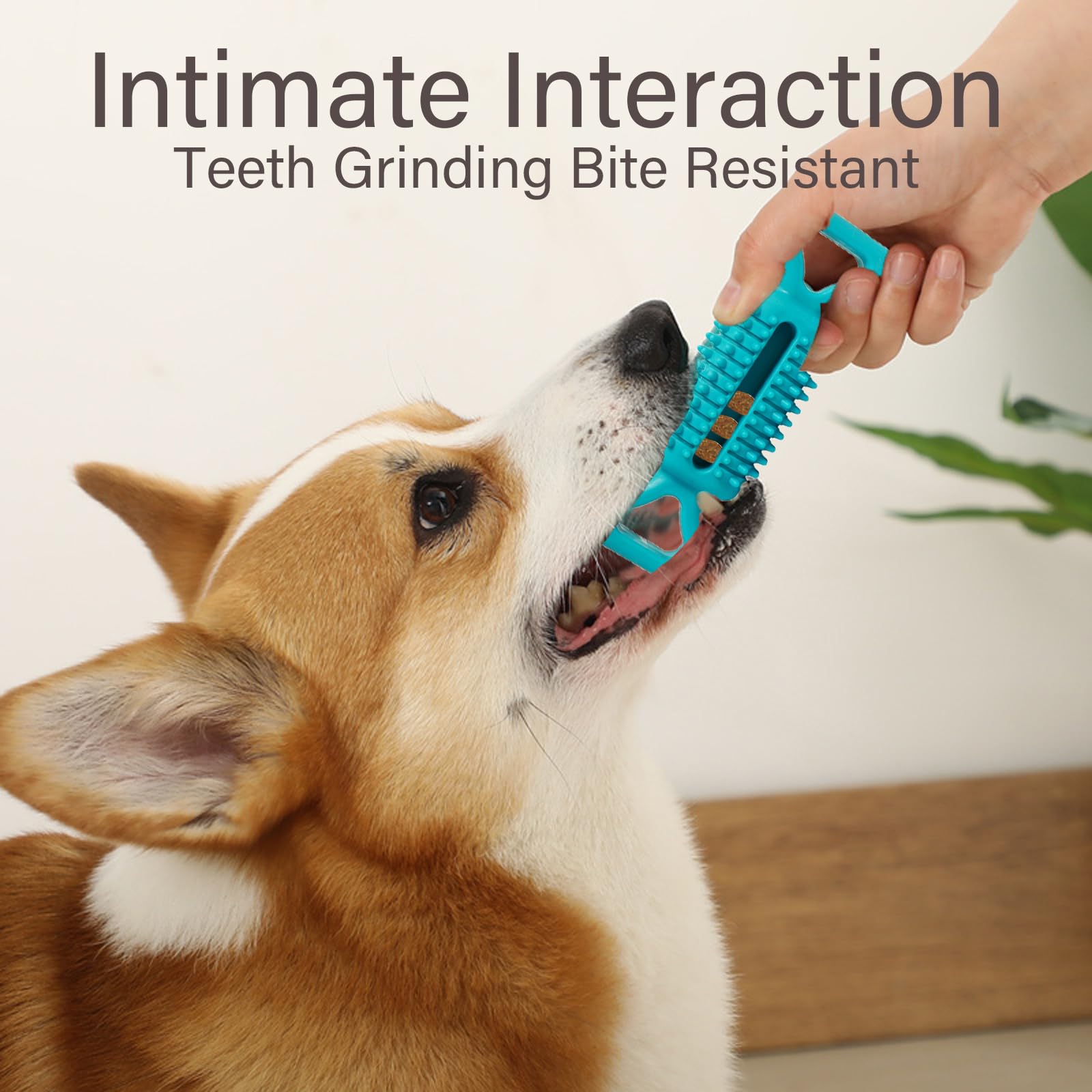 BSITSSS 2 Pcs Dog Chew Toys, Dog Toothbrush Toy Indestructible Dog Toys - Image 3