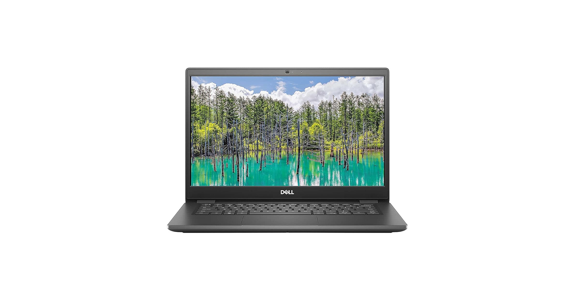 Amazon.com: Dell Latitude 3410 Laptop FHD 1920 x 1080 Non