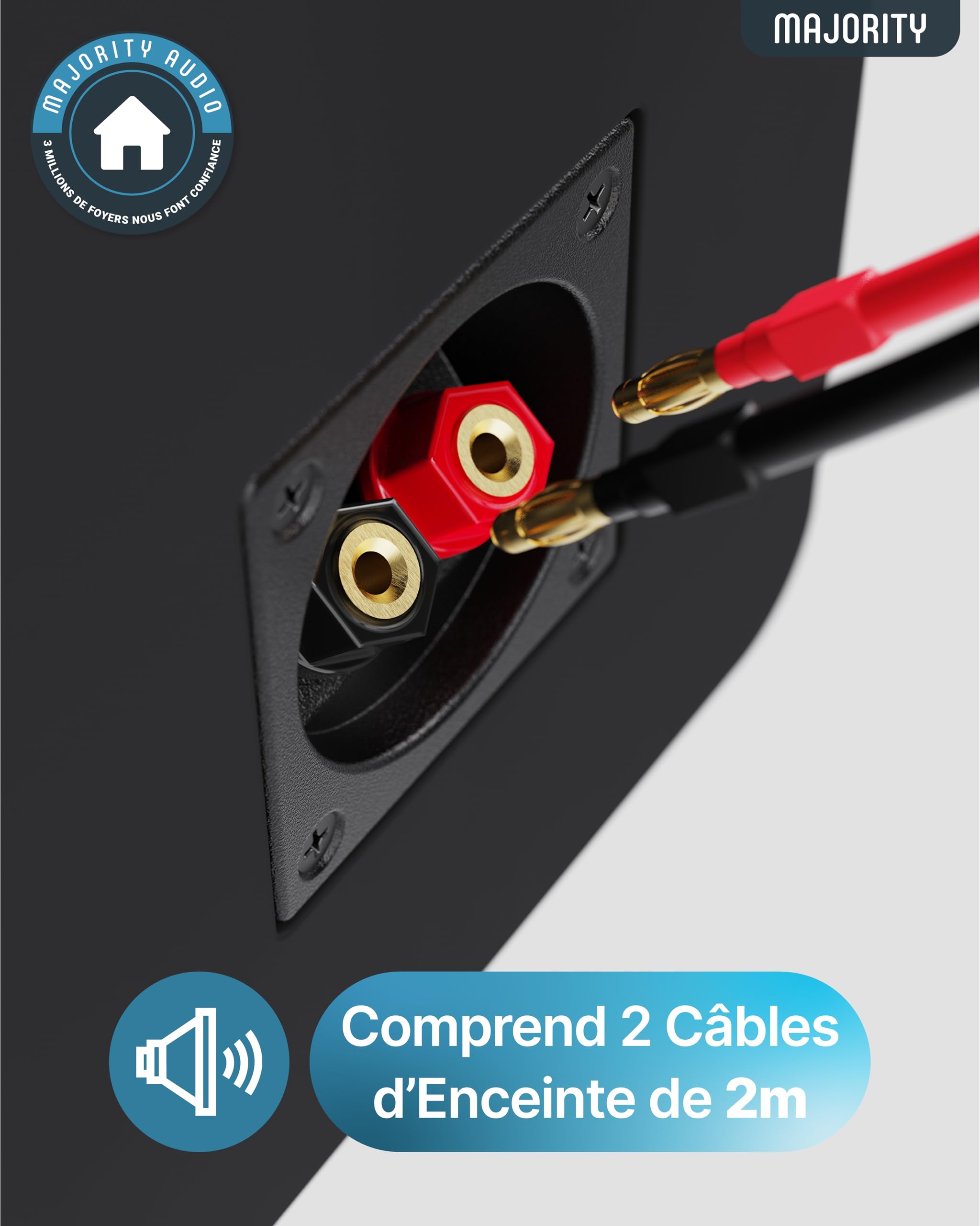 Majority D70X Enceinte Passive | 2 x 30W Enceintes Bibliotheques | Double Cônes de Haut-Parleurs en Fibre de Carbone | Enceinte Monitoring Studio Fréquence de 40Hz à 20kHz | Enceinte HiFi (Noir)
