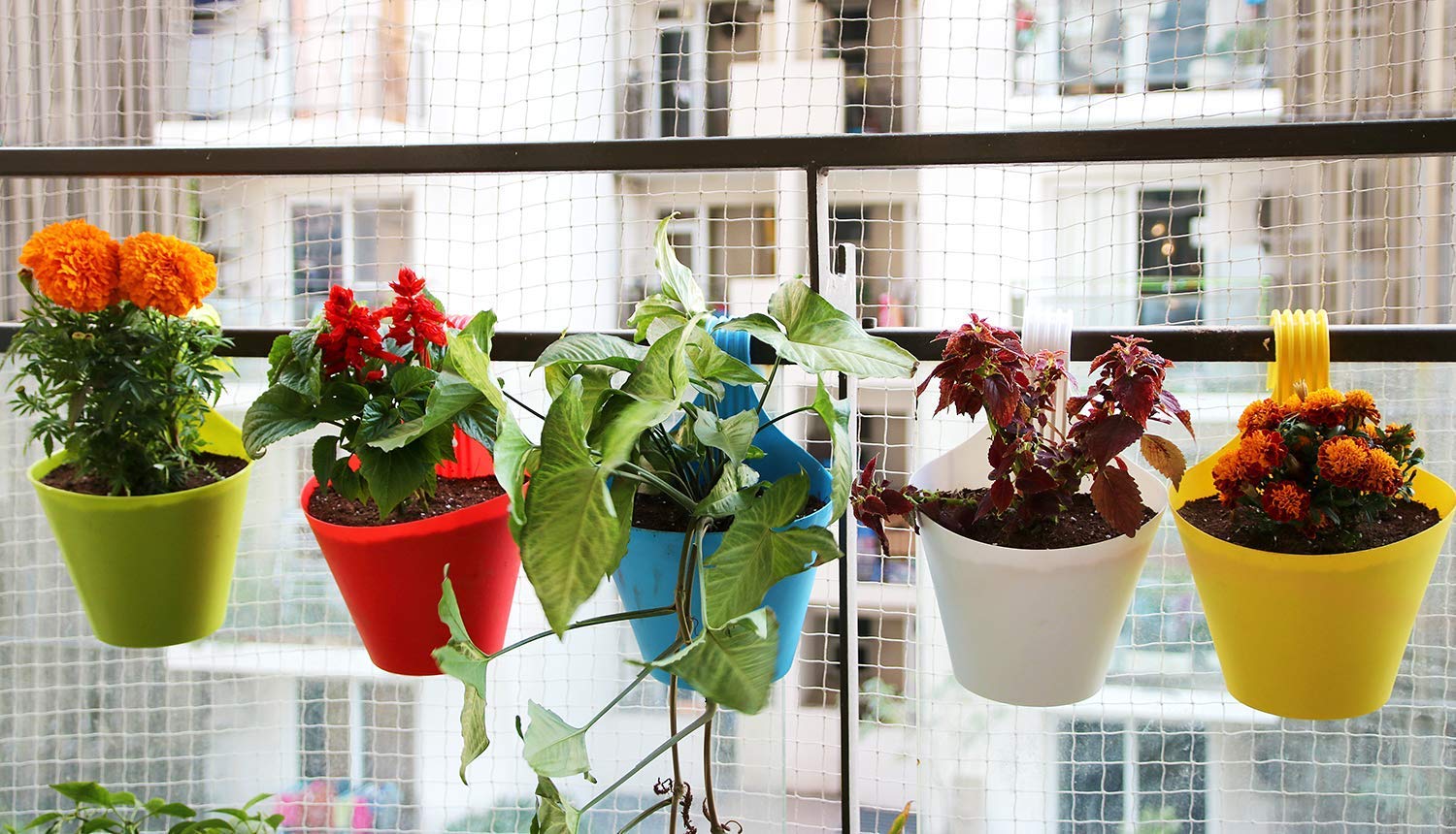 MBC Planting pots | Plastic Vertical Hook Hanging Planter | Flower Pots | Planter Pots | Pack of 10, Multicolor | (10)