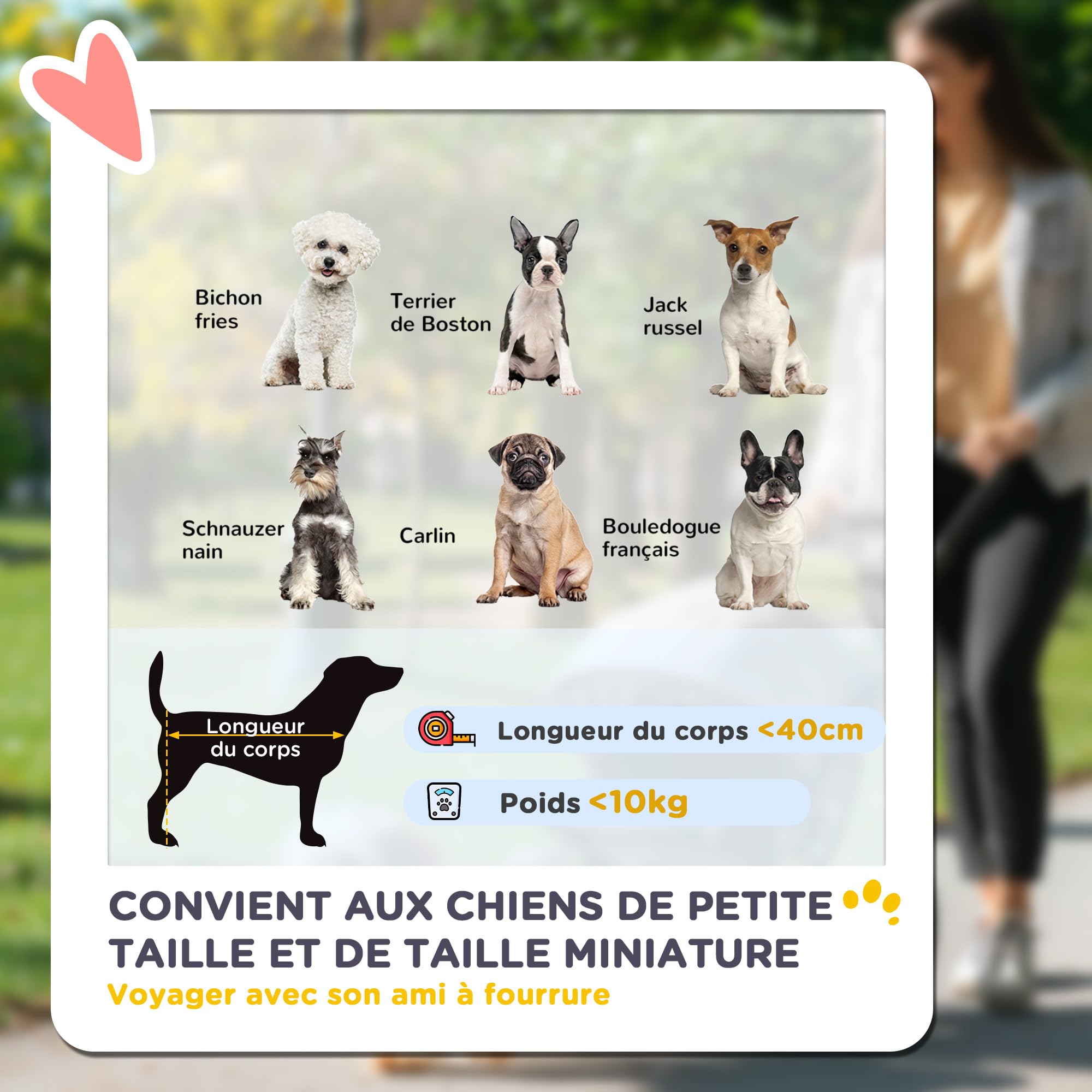 PawHut Poussette buggy pliable pour chien, porte-gobelets, laisse de sécurité, roues avec frein à 360°, fenêtre à mailles, alliage d'aluminium, chariot pour chien chat petit et miniature, gris