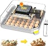 Incubadora de huevos para gallinas, eclosión de 48 huevos, volteo automático, incubadoras para pollos, patos, gansos, palomas, codornices, loros, incubadora para granja 1