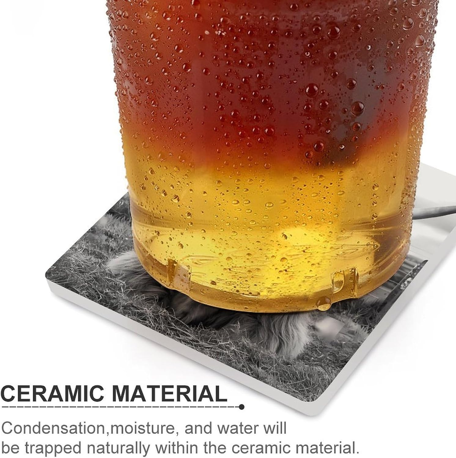 Black and White Highland Cow Funny Ceramic Coasters for Drink Absorbent Cup Holders Tabletop Protection