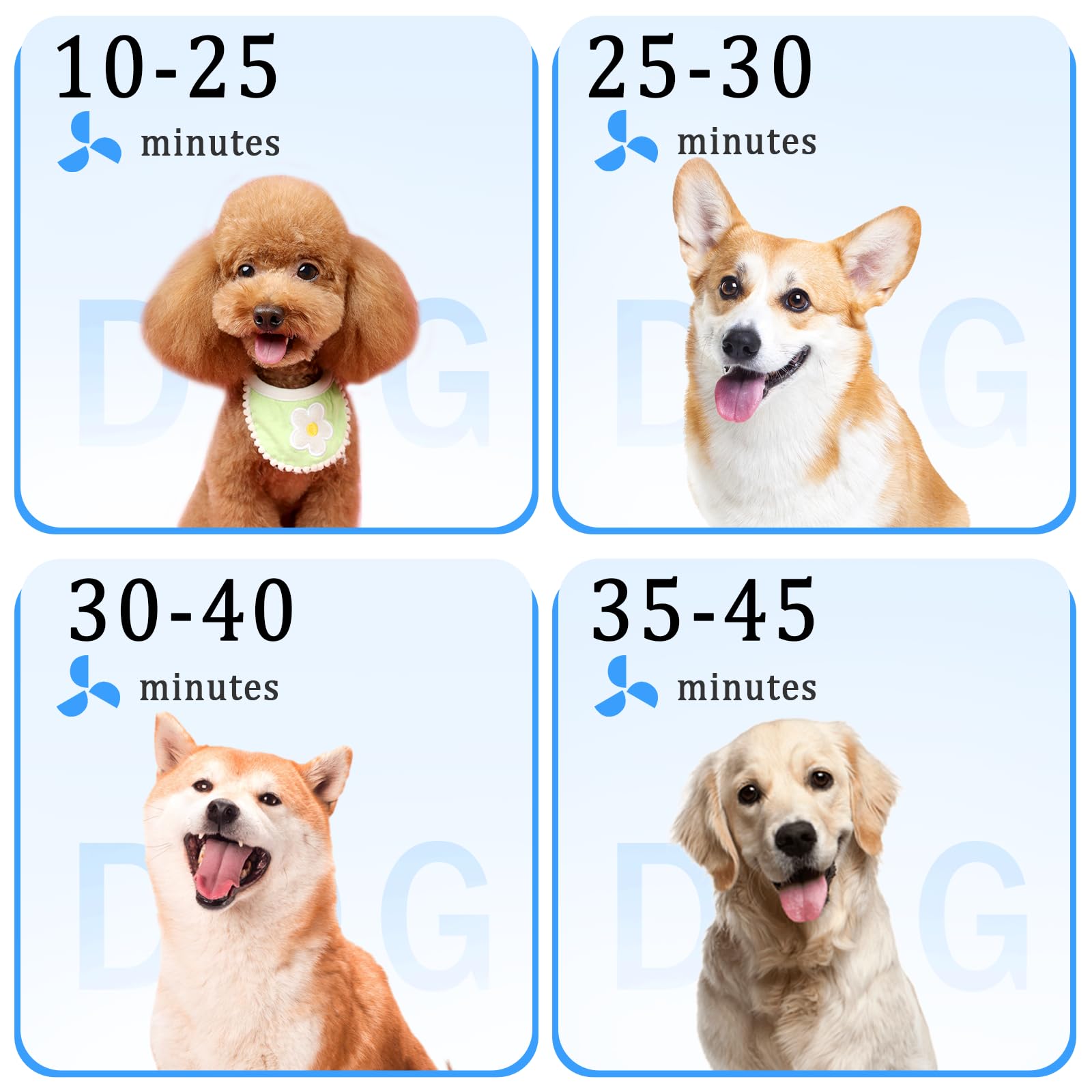TAIKOUL Asciugacapelli per Cani