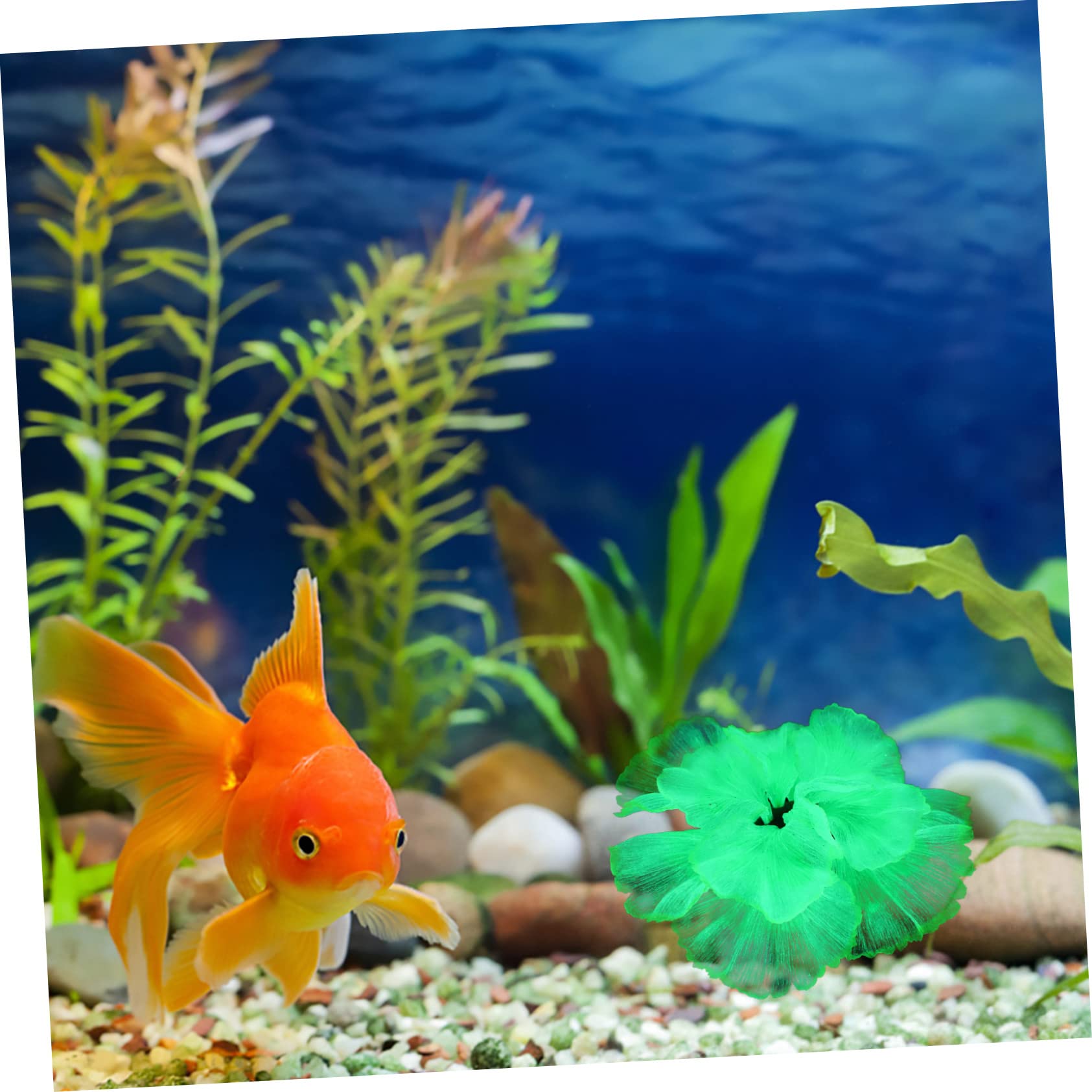 Kisangel 3piezas Planta Acuática Artificial para Decoración De Acuarios Adorno De Paisajismo Acuático Fluorescente Resistente La Degradación Afectar La Calidad del Agua para Peceras y