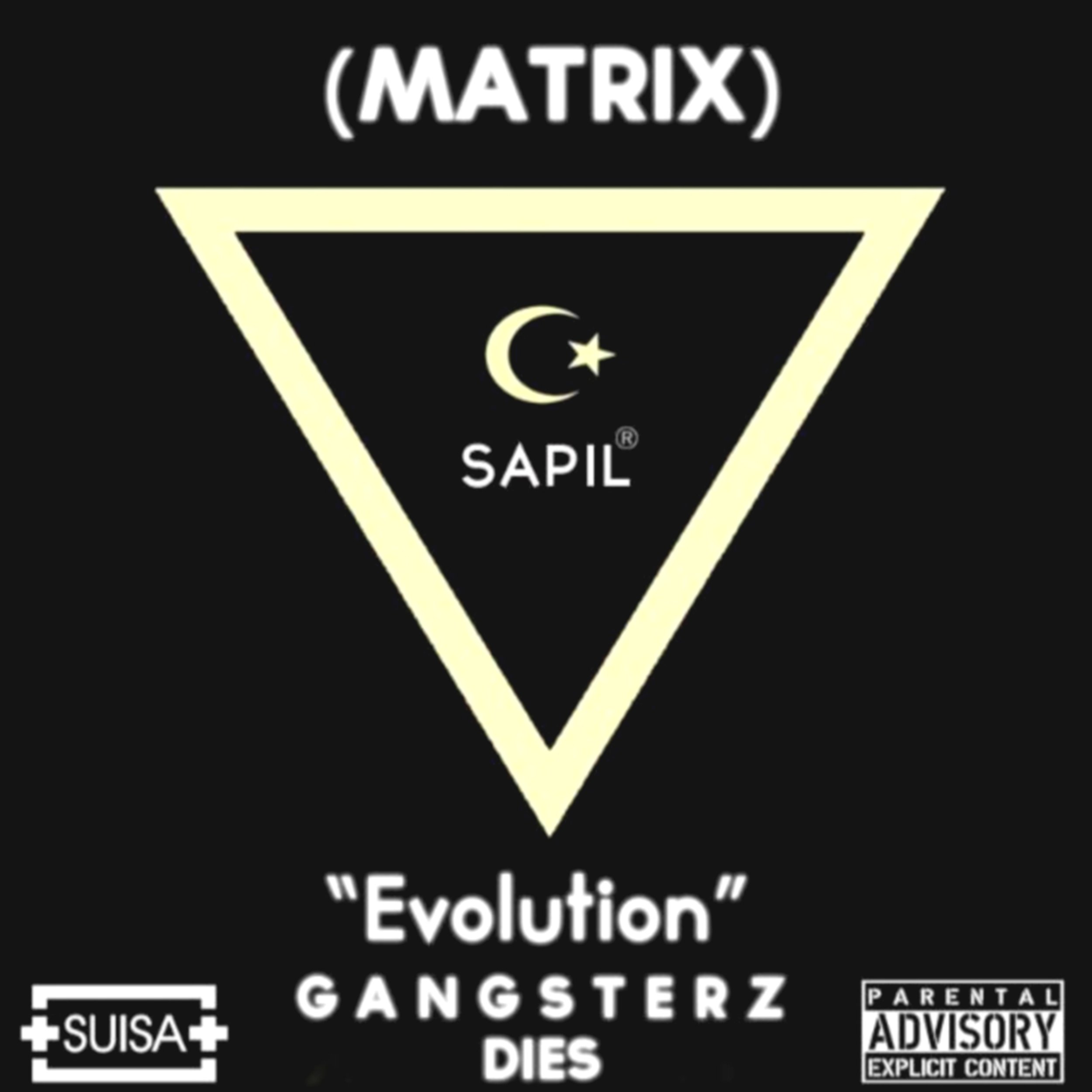 Boxeur Des Rues De Geneve