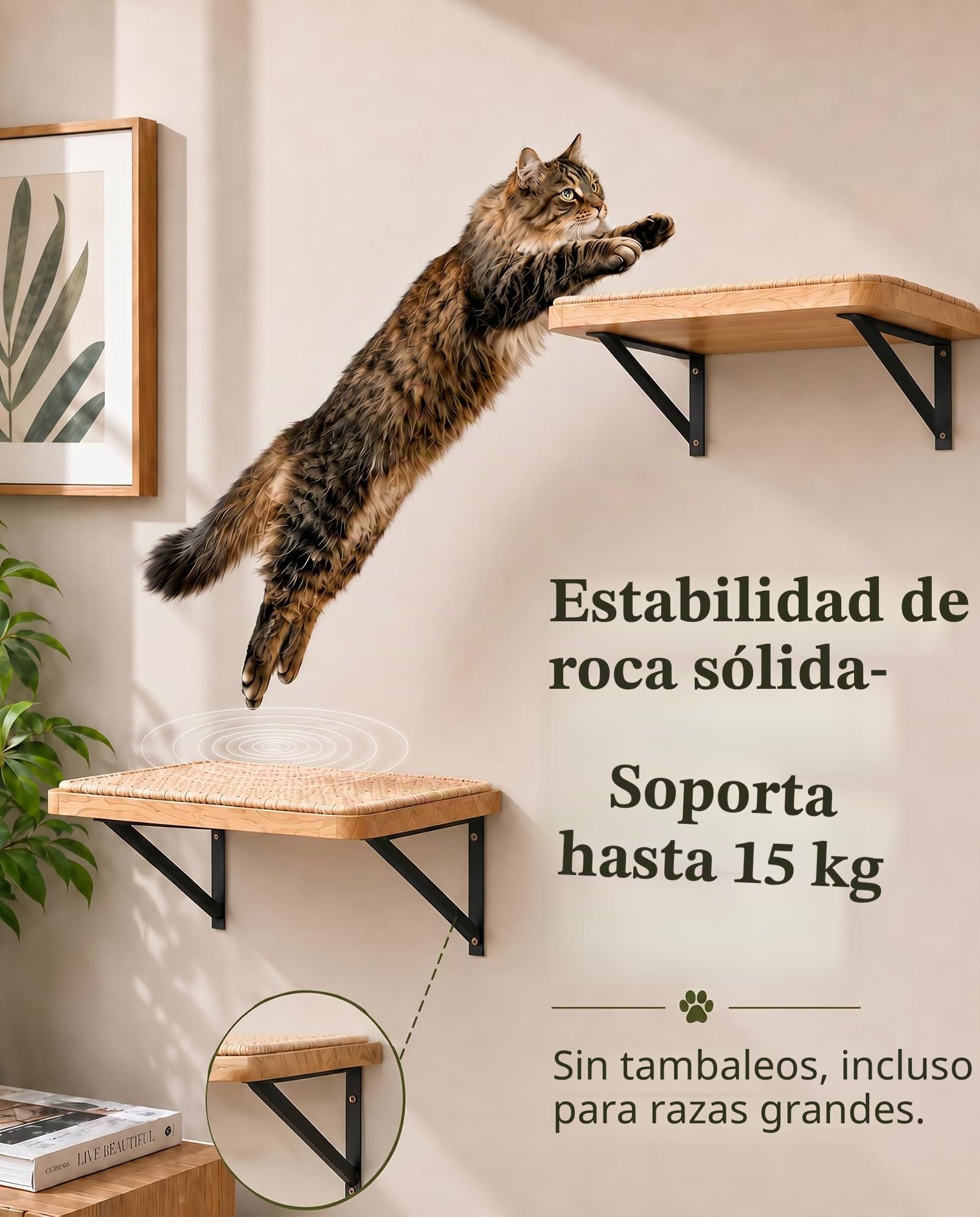 Escalera de pared para gatos, conjunto de 4 con 2 escalones de escalada y 2 plataformas para dormir, conjunto de muebles de pared para gatos de madera de pino montado en la pared para