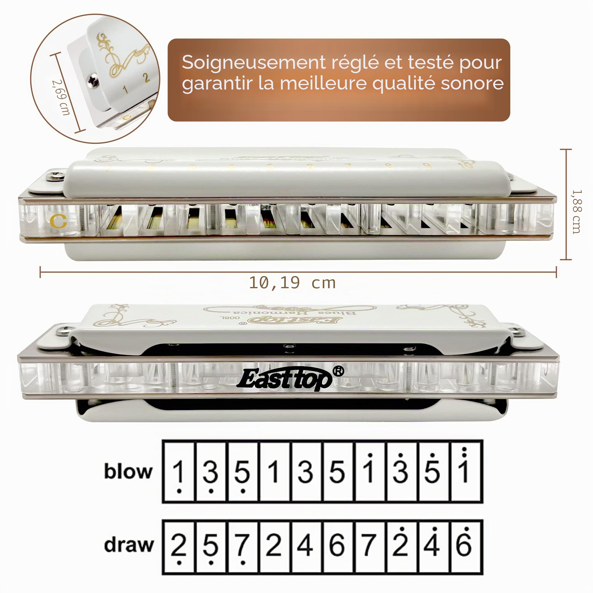 East top Harmonica Adulte Diatonique en Do 20 tons T008L avec Couverture Blanc, Harmonica Blues Diatonique en do, harmonica diatonict pour Débutants et étudiants, comme meilleur cadeau