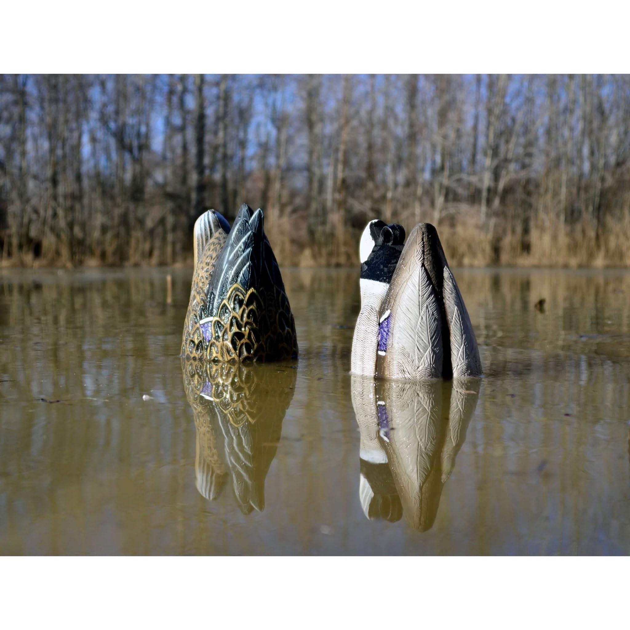 Higdon Outdoors Magnum Mallard Feeder Pack | Foam Filled Drakes 4pk (2 Butts, 2 Skimmers)