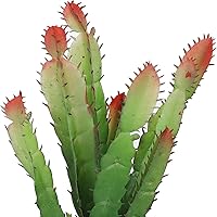 Vista 9 de Planta artificial de cactus, plantas acuáticas de plástico de simulación, terrario, reptiles, hábitats, decoración del hogar, para peces, acuarios