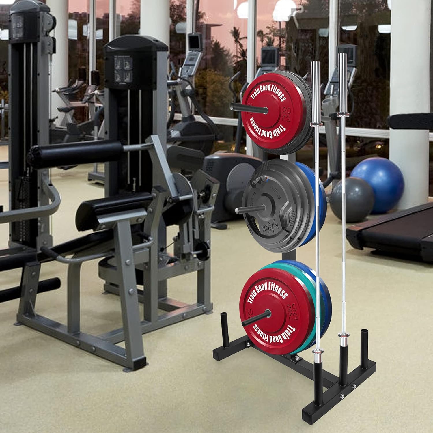Luwint Plate Tree, 1 in Weight Plate Storage Rack with 6 Standard Bar Holders : Sports & Outdoors