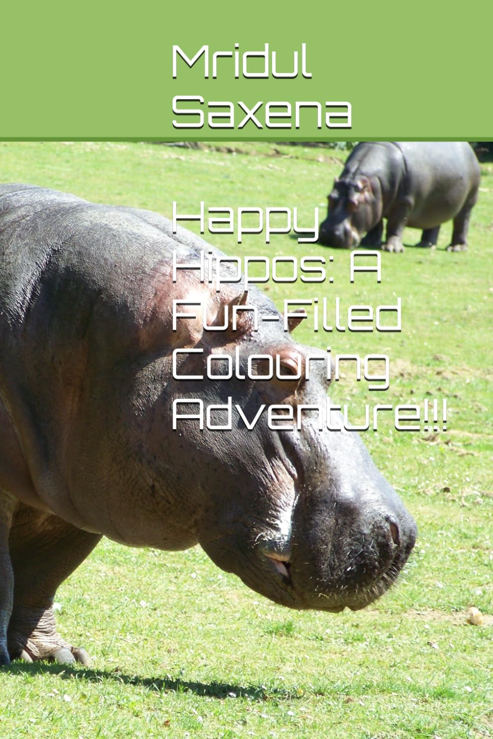 Happy Hippos: A Fun-Filled Colouring Adventure!!! (Colouring books for children)